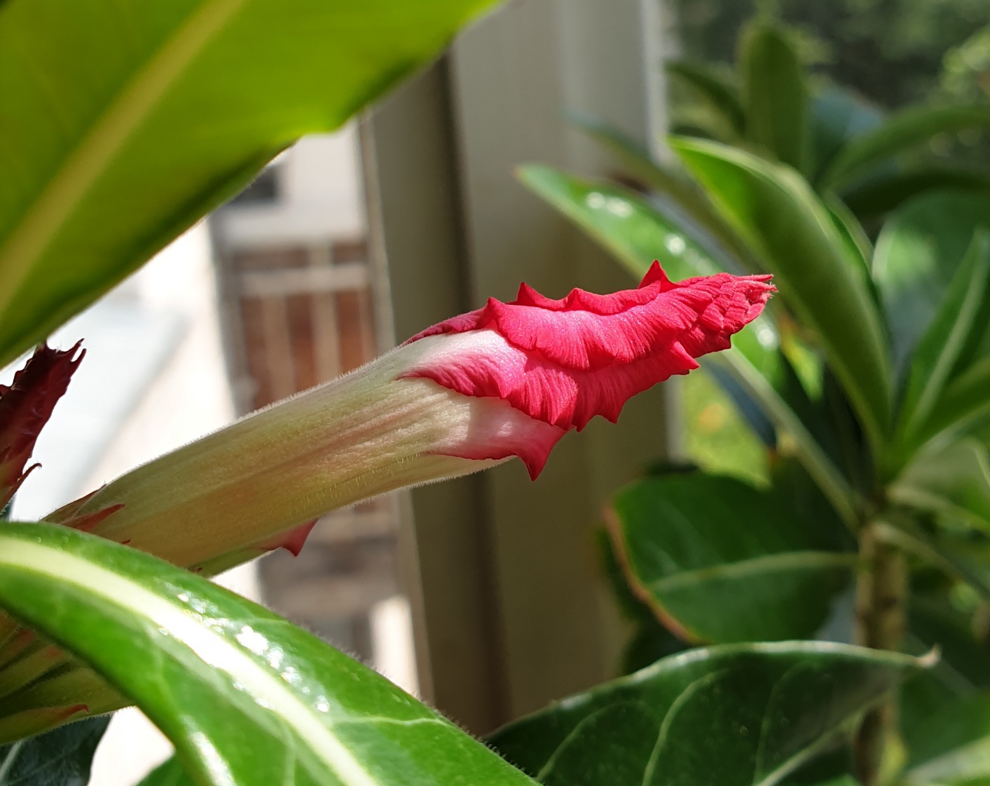 20200711_234016.jpg