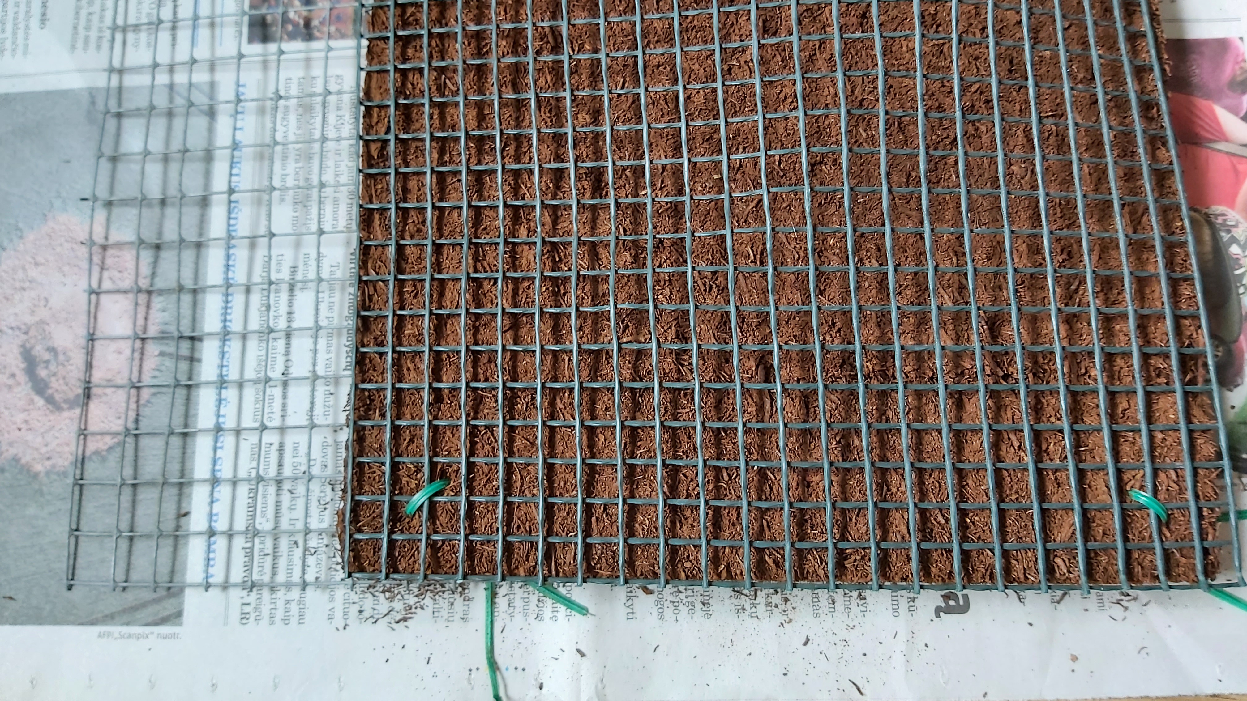 20220508_123640.jpg