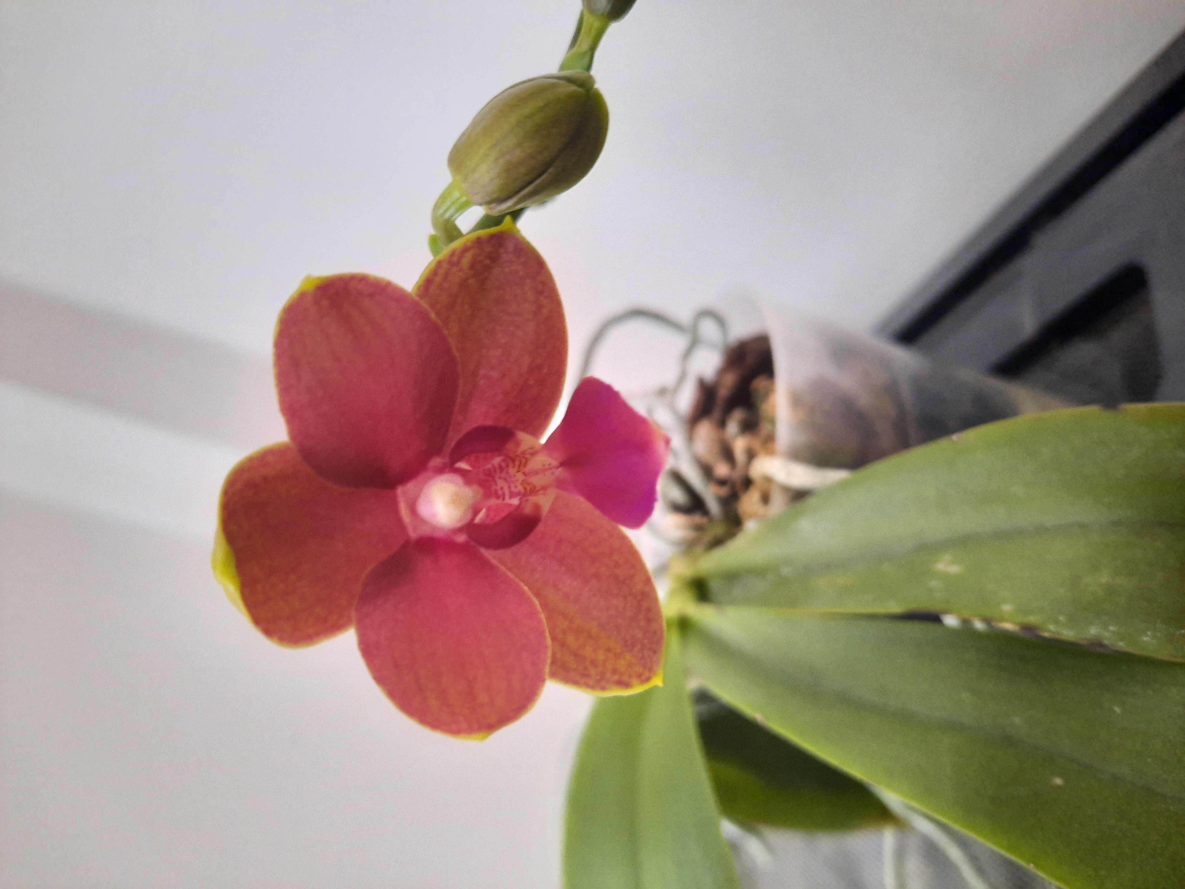 20220605_081532.jpg
