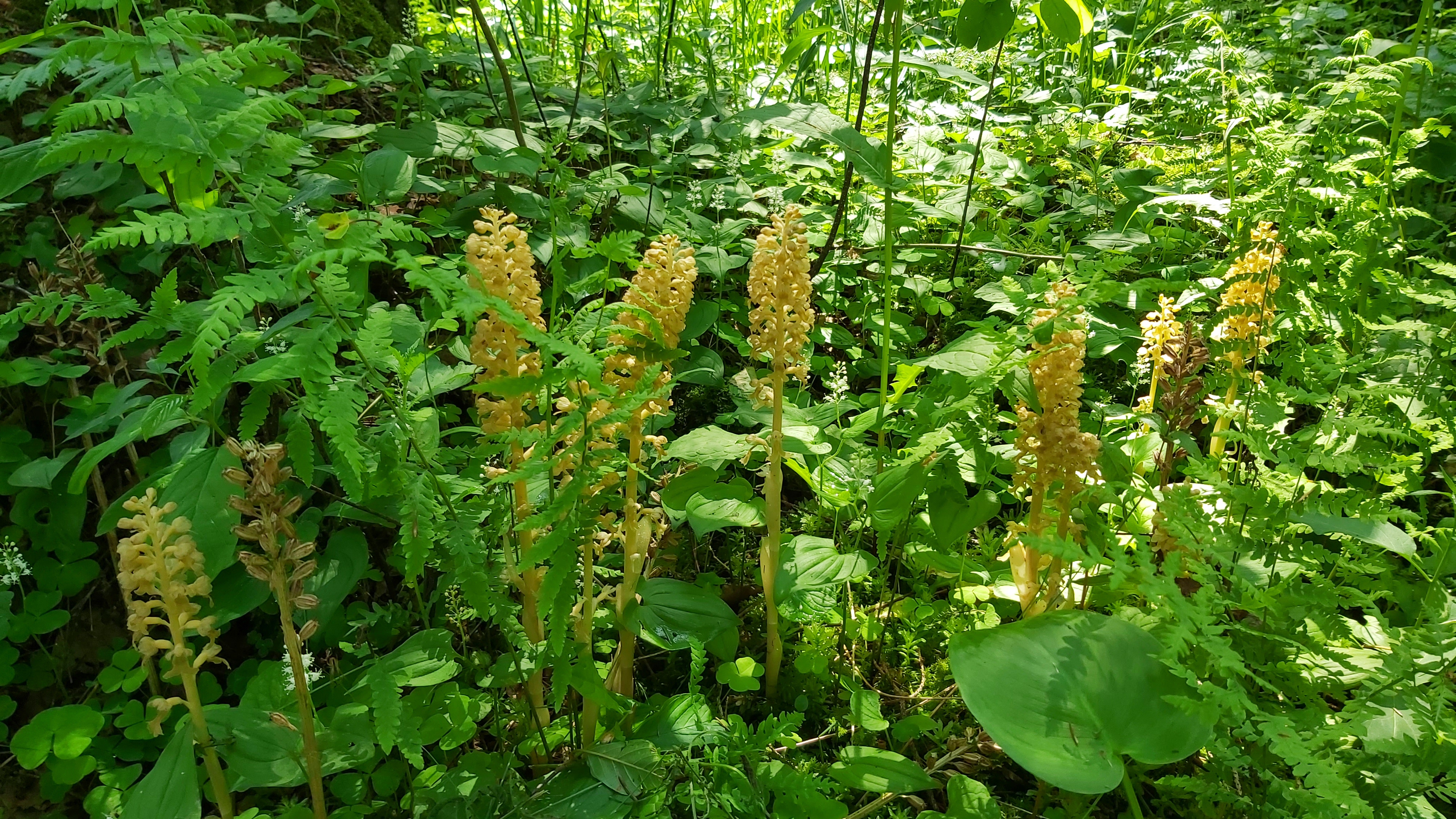 20220610_121631.jpg