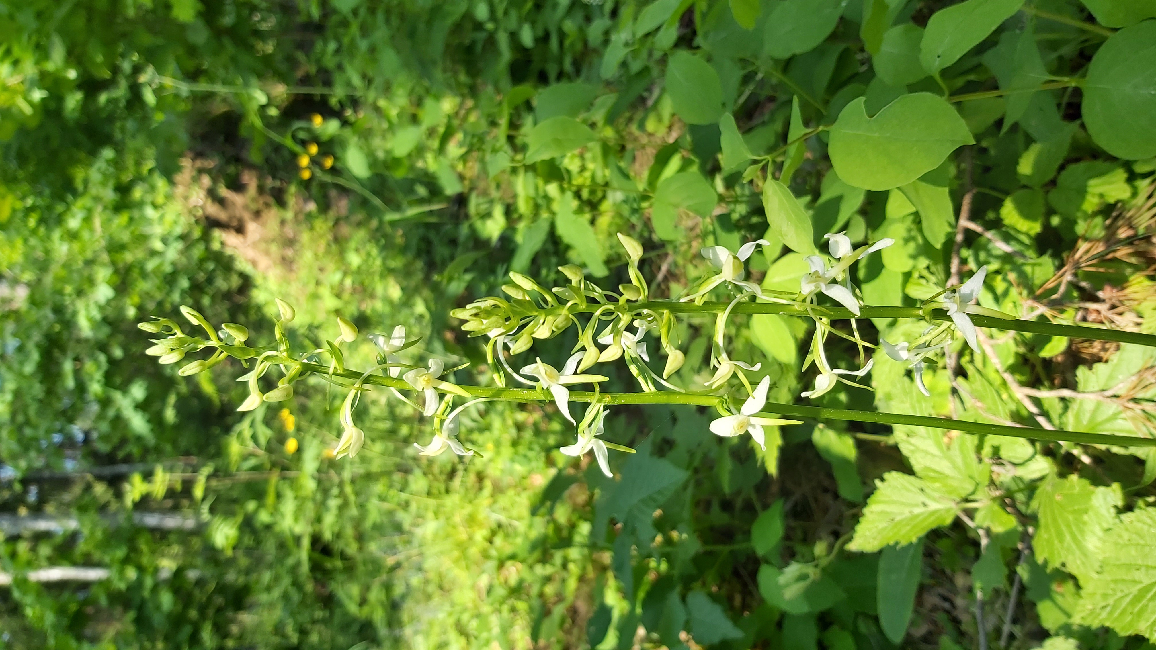 20220610_124305.jpg