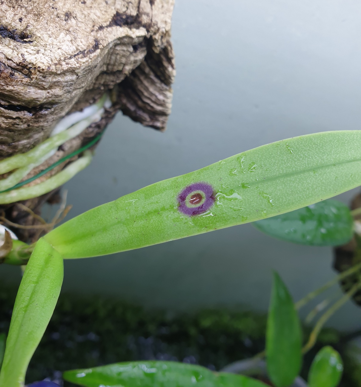 20220722_114755.jpg