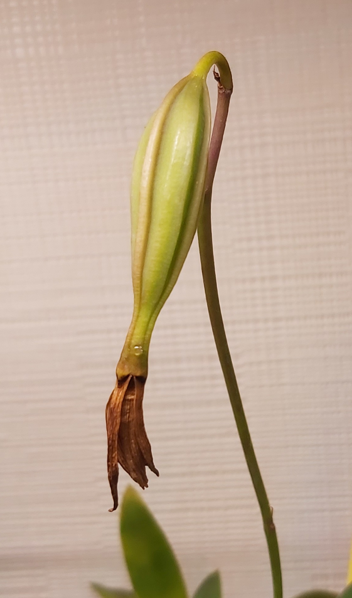 20220920_193112.jpg