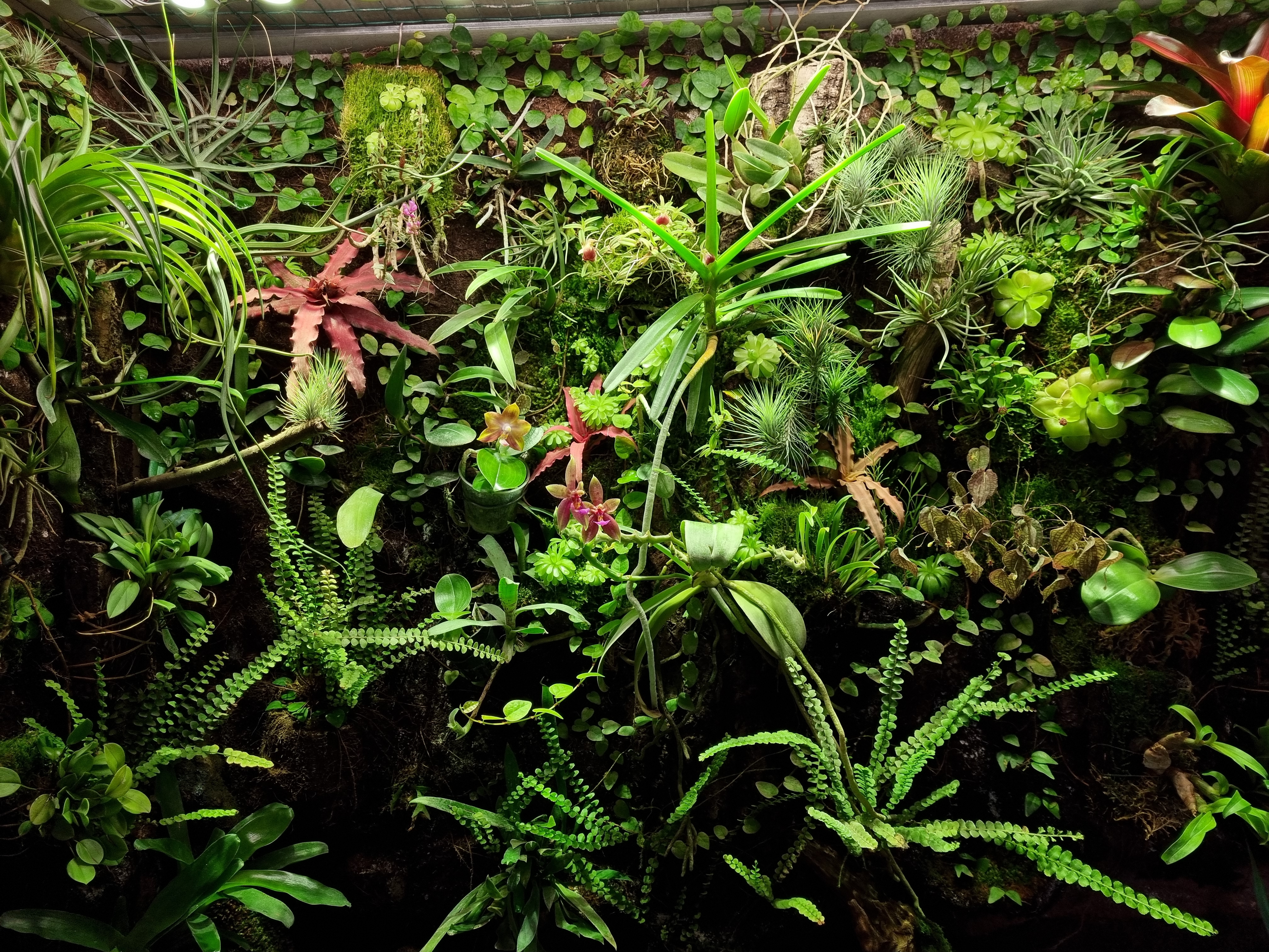 20220130_122536.jpg