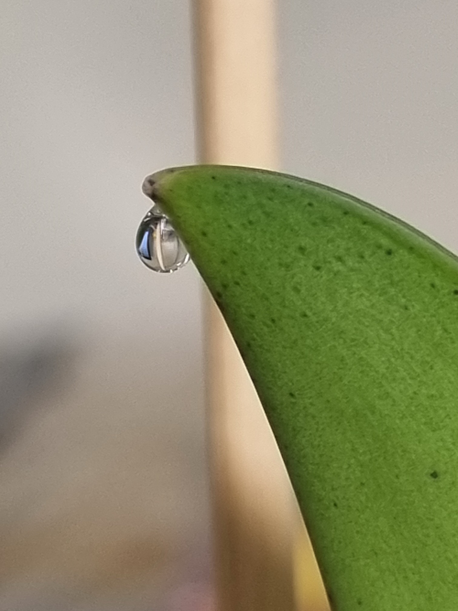 20221215_165307.jpg