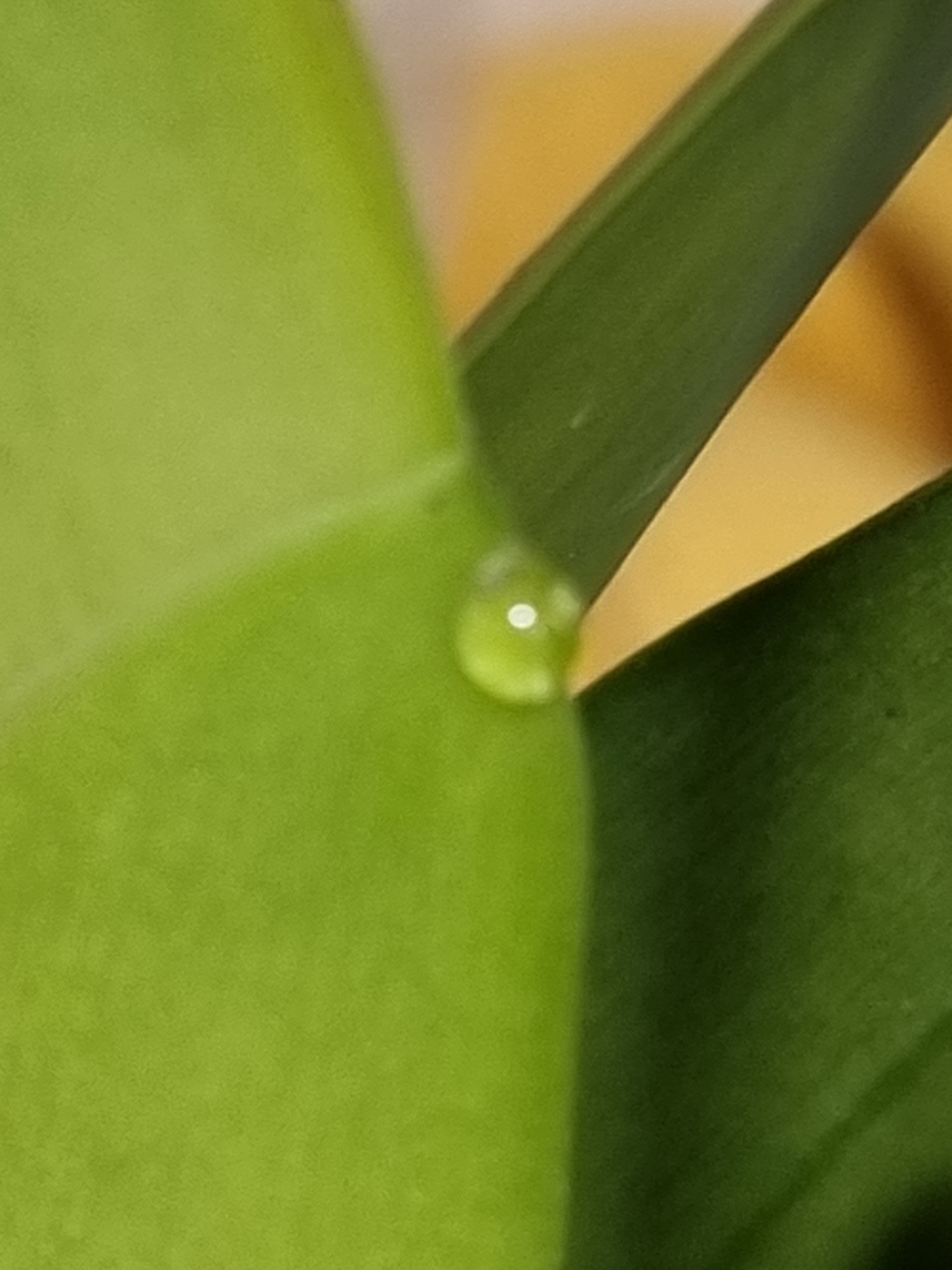 20221215_165315.jpg