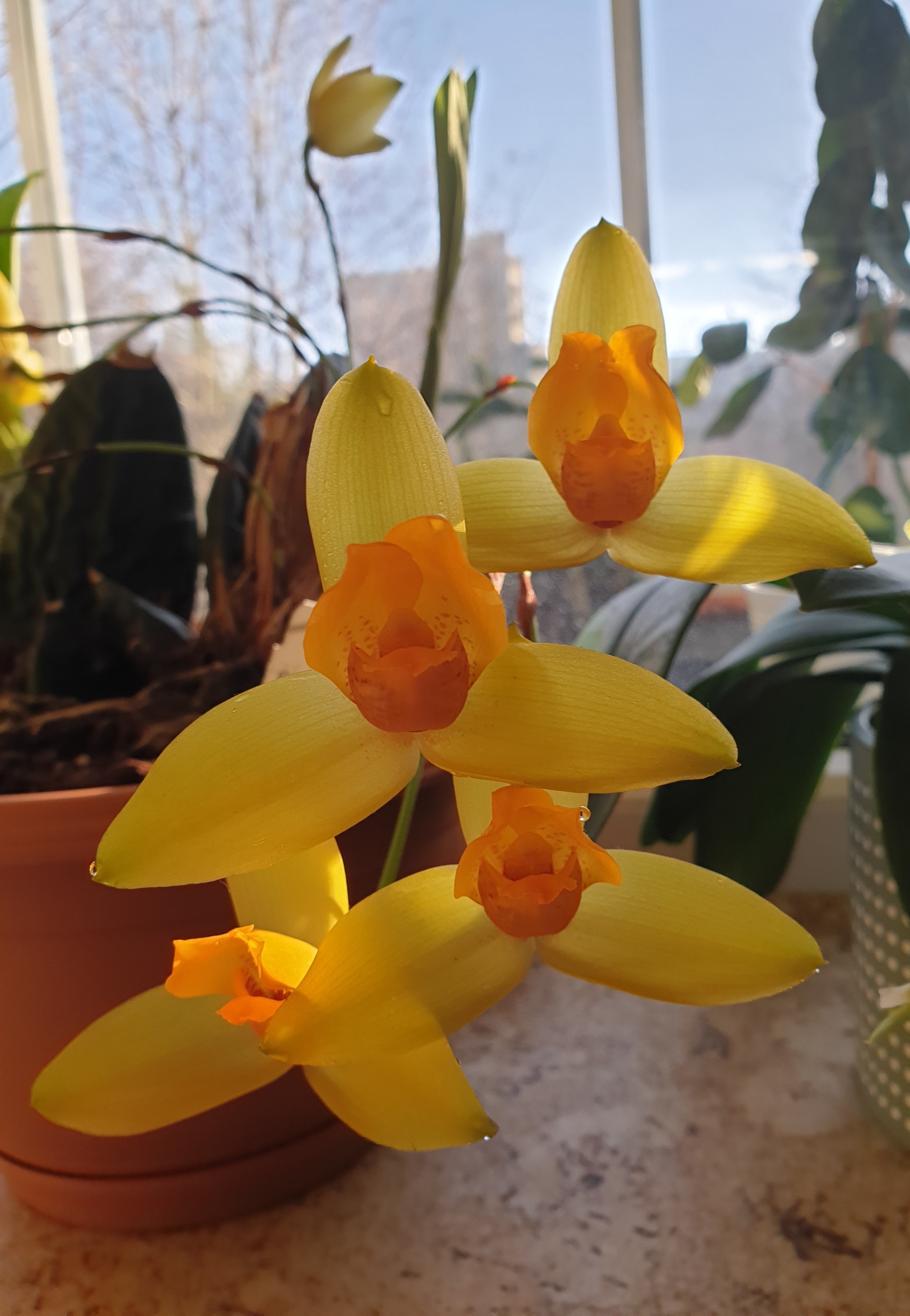20230126_092749.jpg