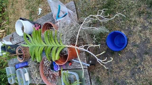 20230613_194224_resize_87.jpg
