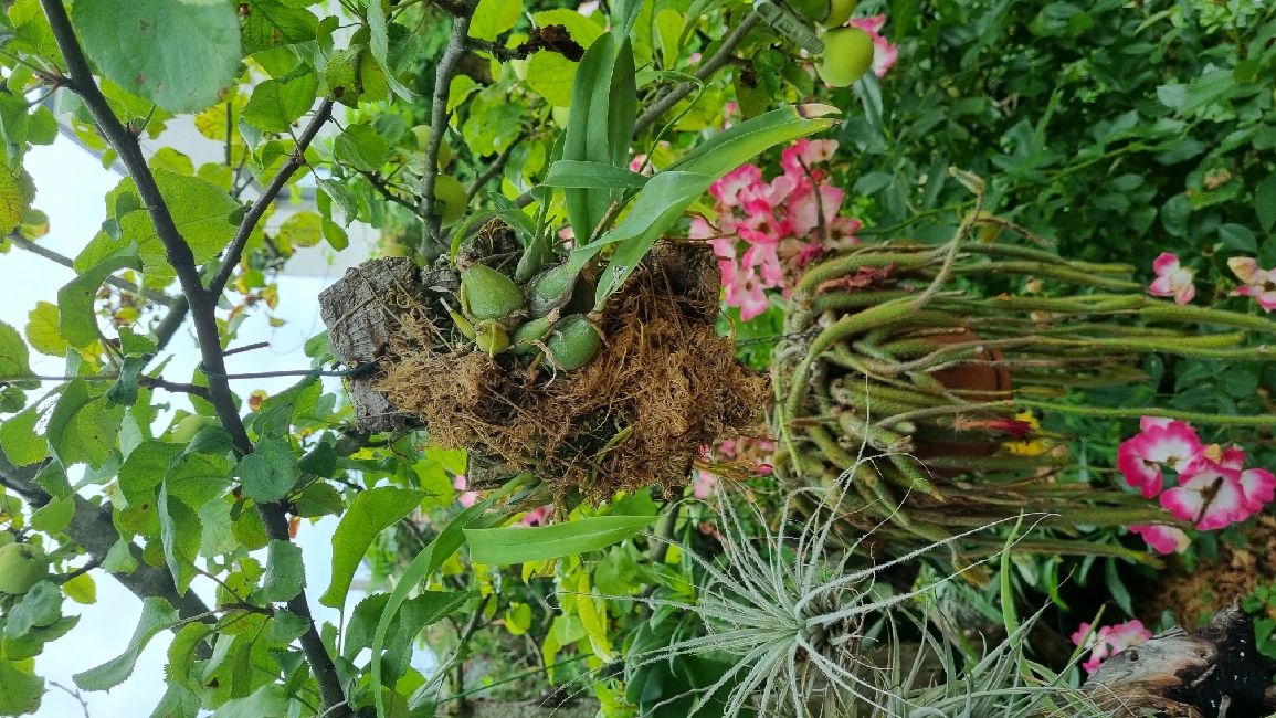 20230628_123415_resize_20.jpg
