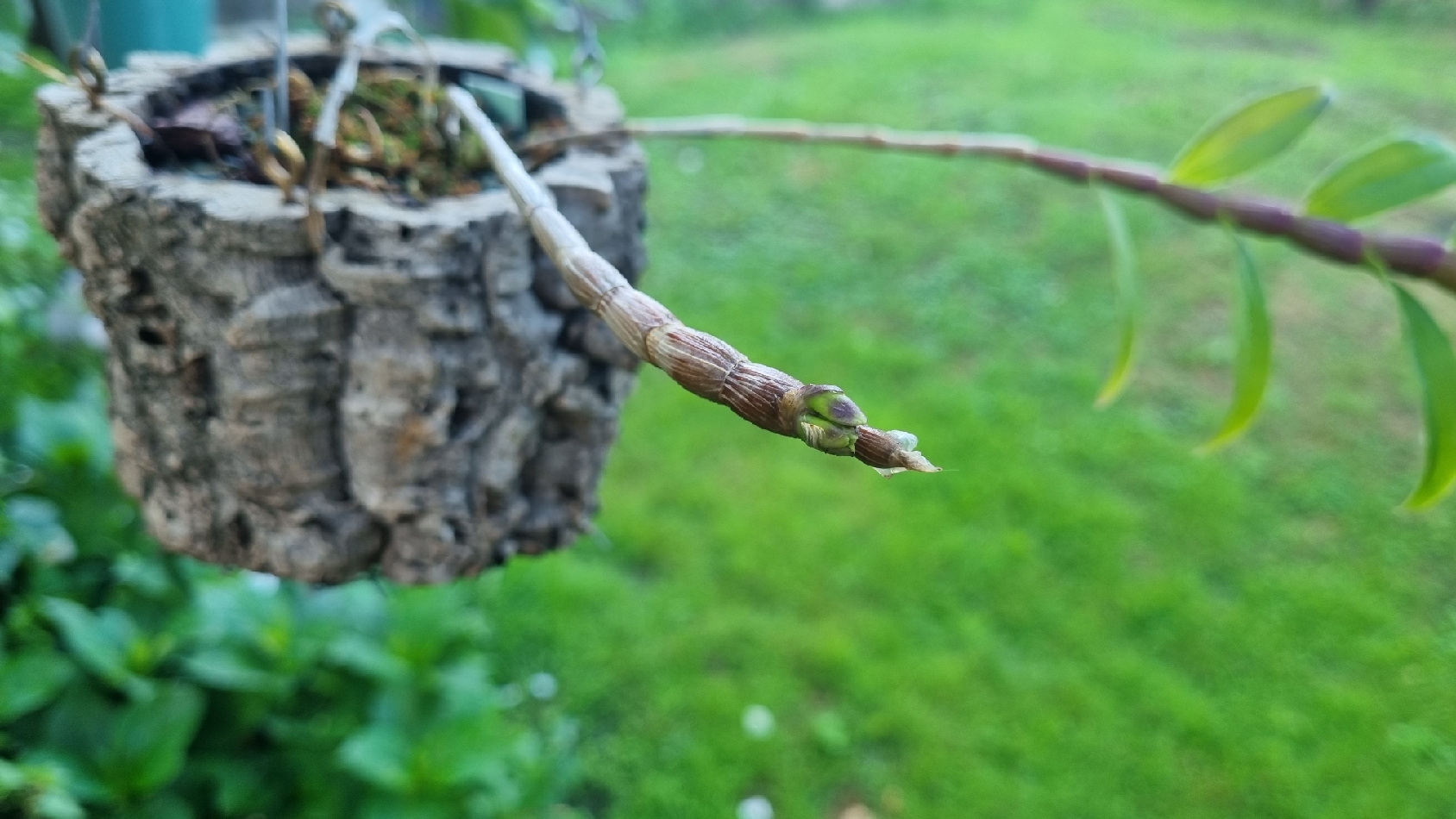 20230629_201155_resize_17.jpg