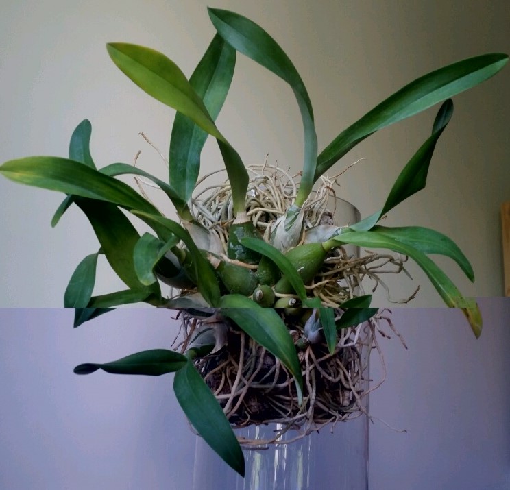 rps20160705_174103.jpg