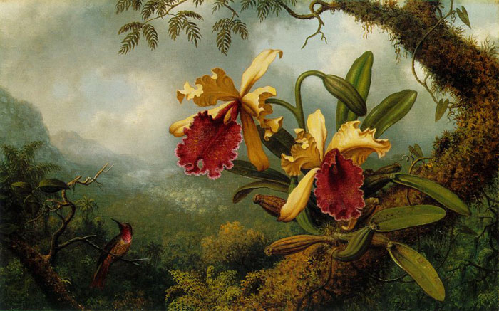 Martin_Johnson_Heade_HEM014.jpg