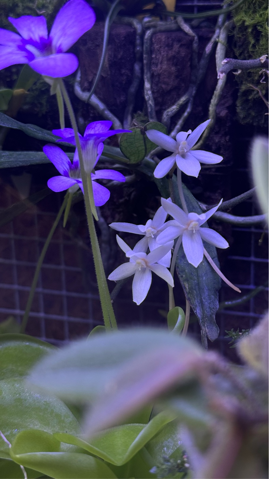 IMG_7075.jpeg