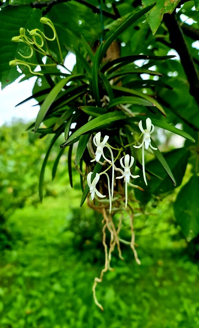 20200829_153330.jpg