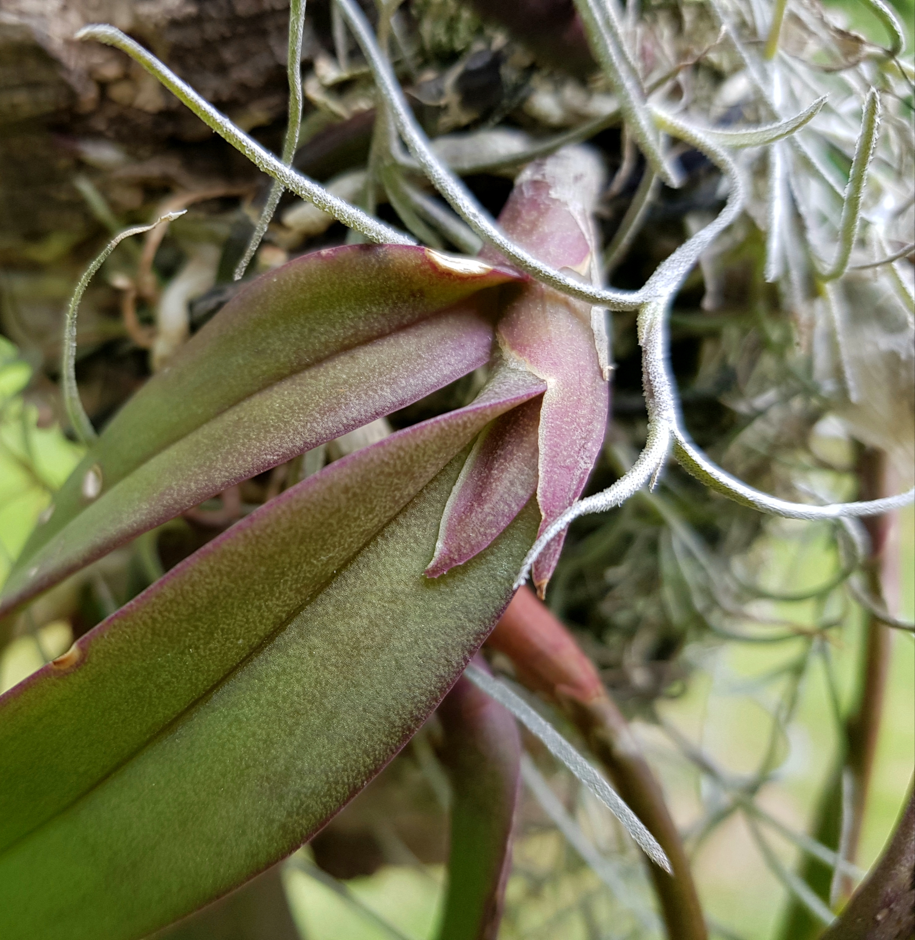 20190812_164149.jpg