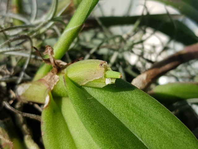 20191025_120641.jpg