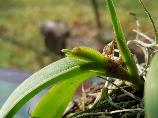 20191025_120610.jpg