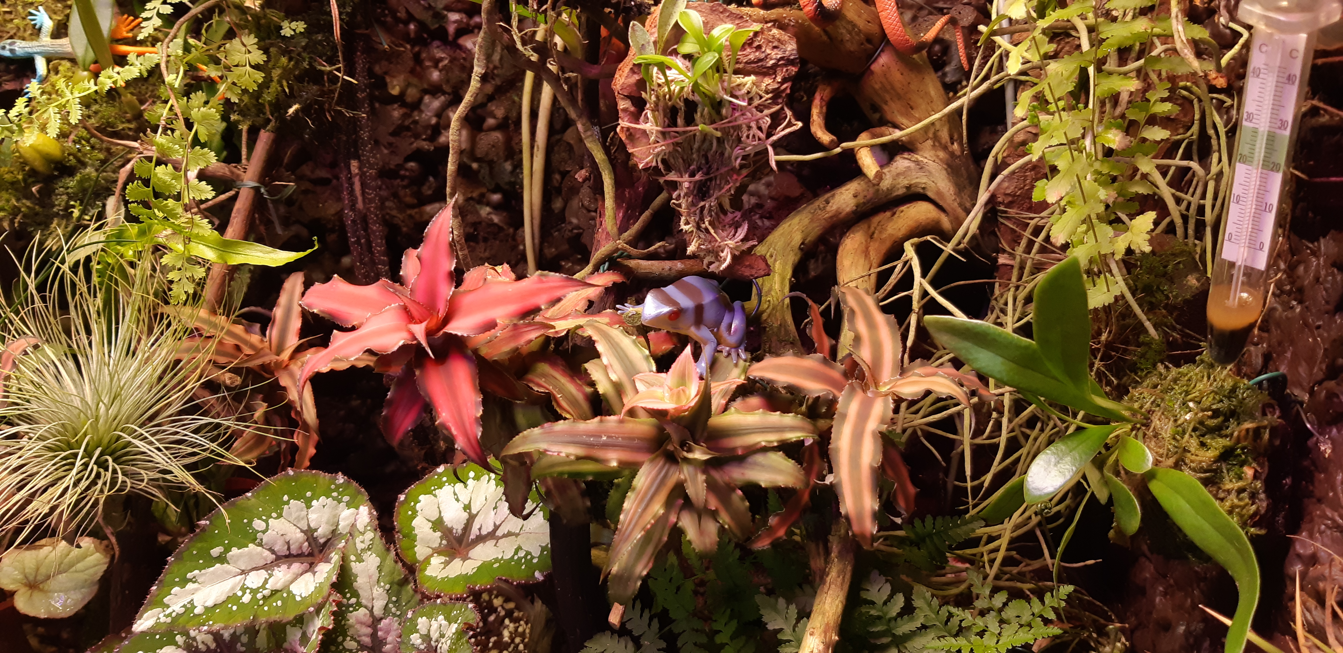 20201028_162701.jpg
