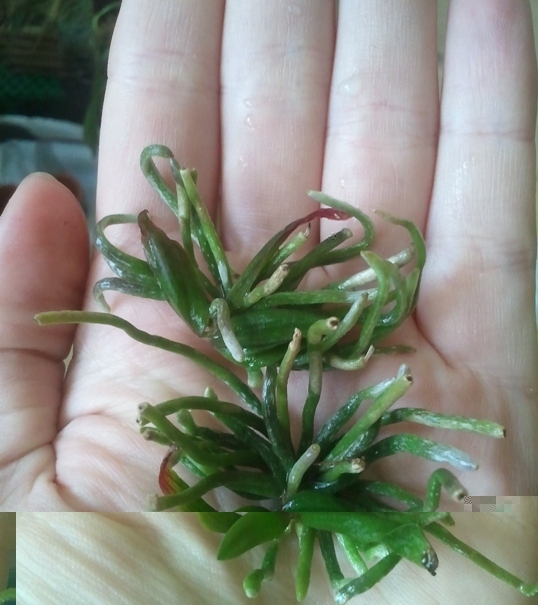 2011-09-16 15.22.55.jpg