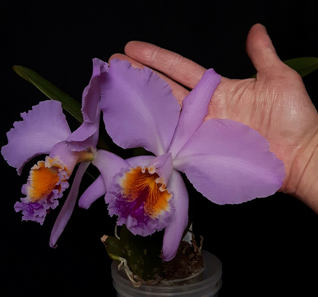 2017-05-26_02-58-06.jpg