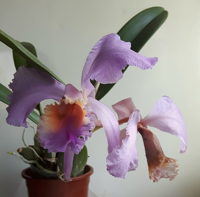 2017-06-18_05-35-23.jpg