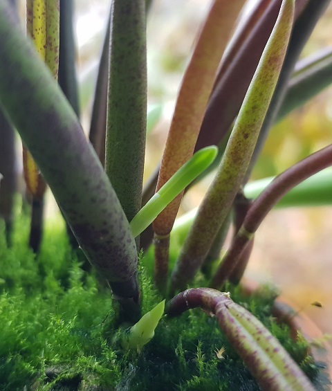 20191012_155644.jpg