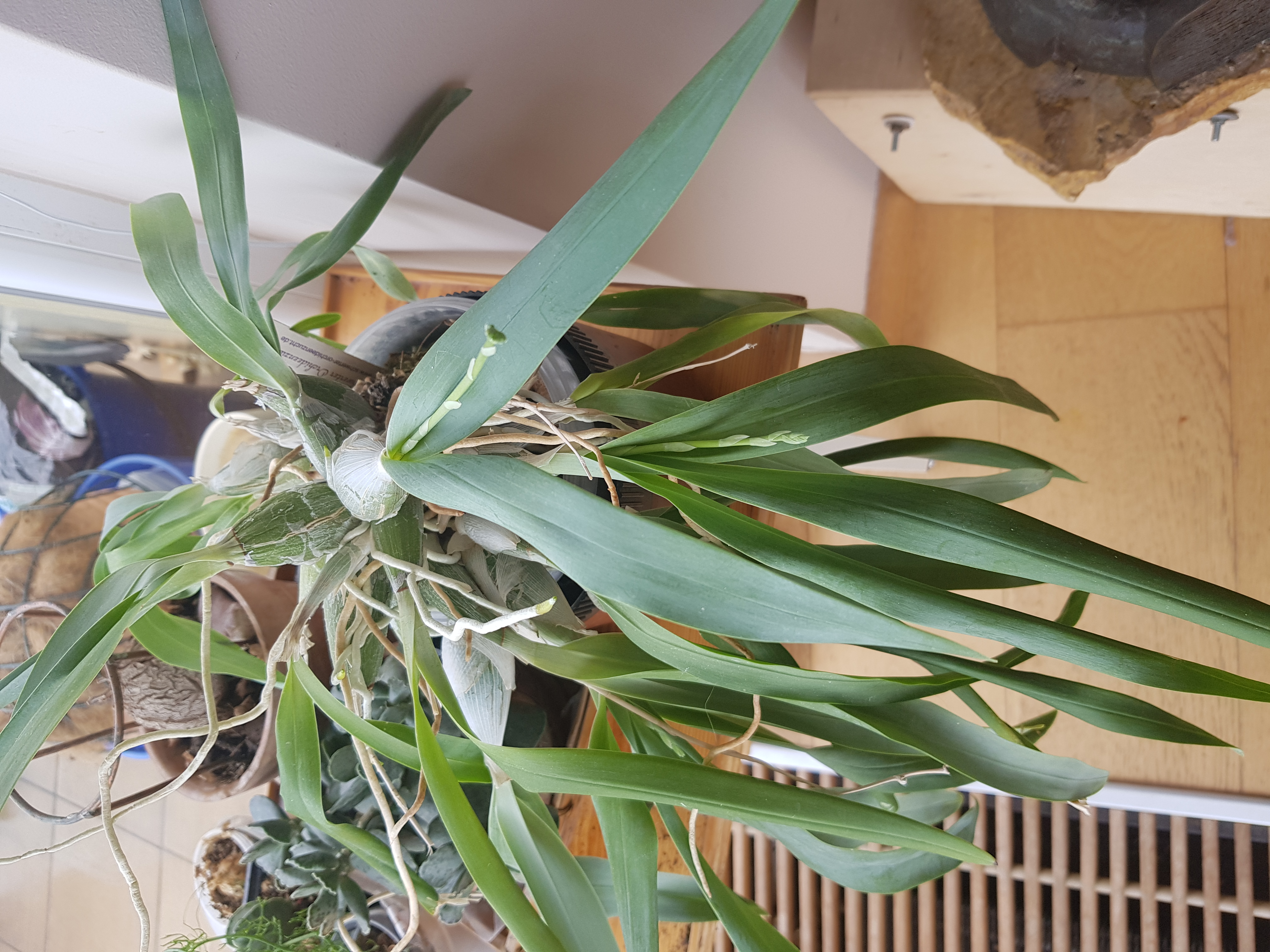 20190616_104754.jpg