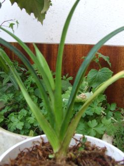 DSCF9048.jpg