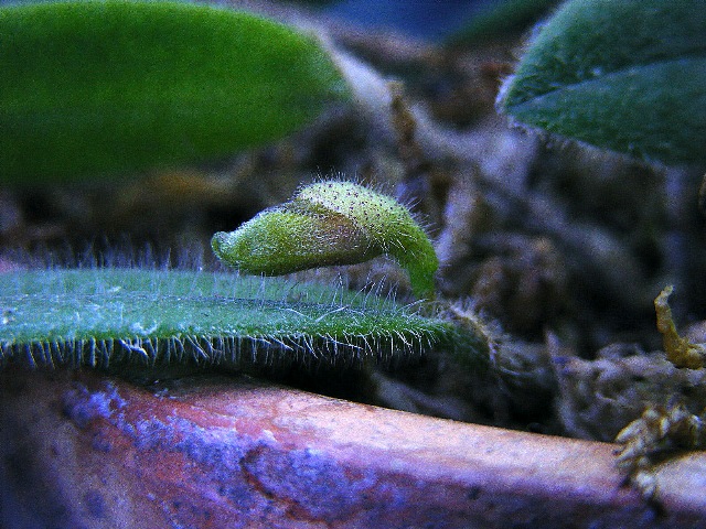 DSCF3824.JPG