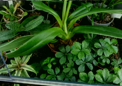 20130324_231542.jpg