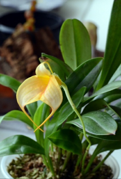 20201030_164419.jpg
