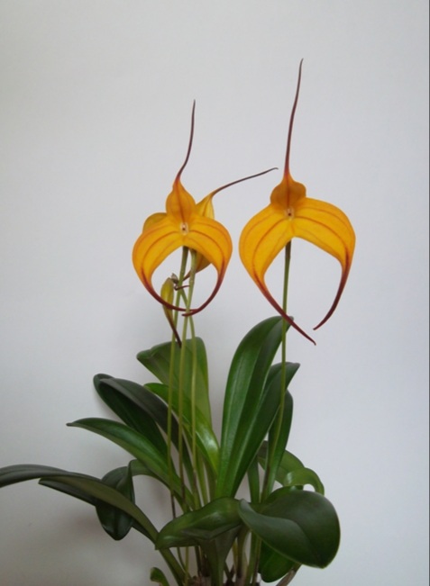 20201030_164739.jpg