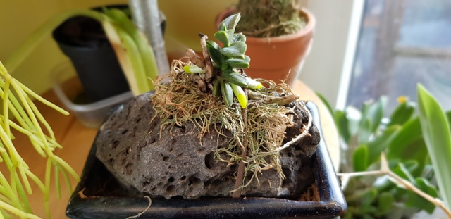 20181013_171605.jpg