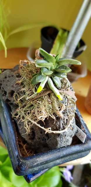 20181013_171613.jpg