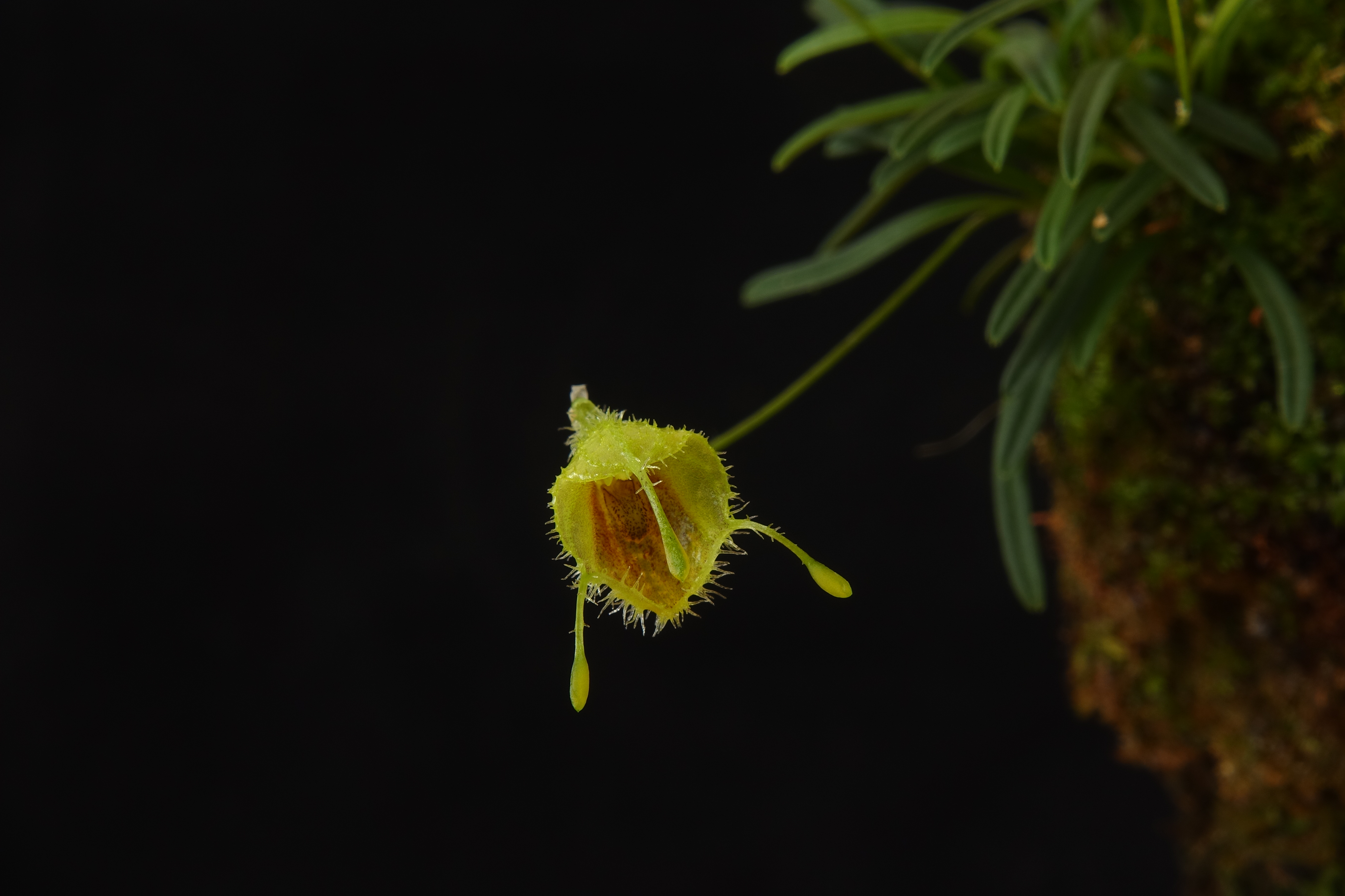 DSC04719.JPG
