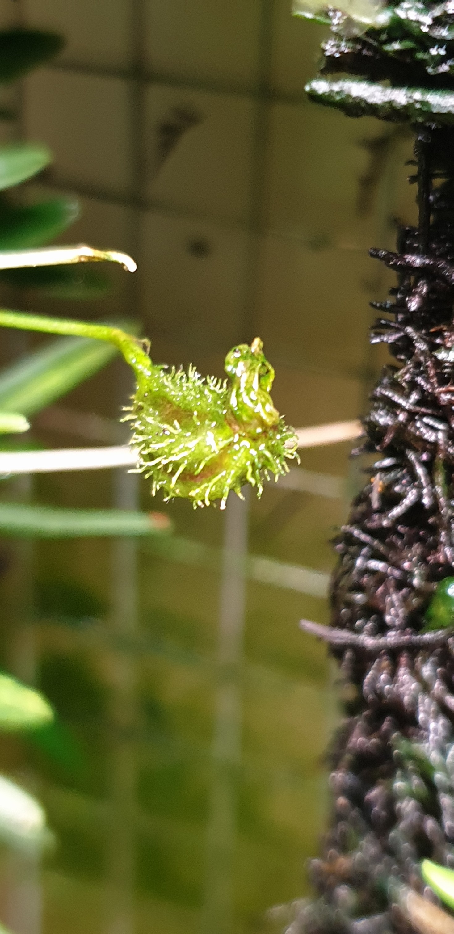 20200902_213020_copy_1470x3024.jpg