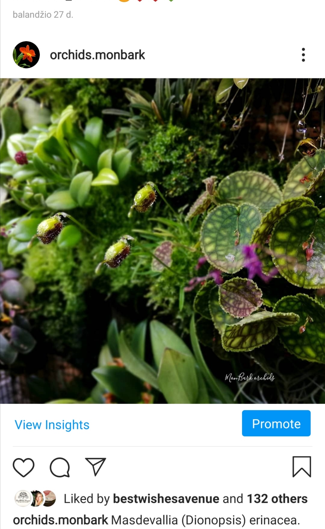 Screenshot_20200925_071644.jpg