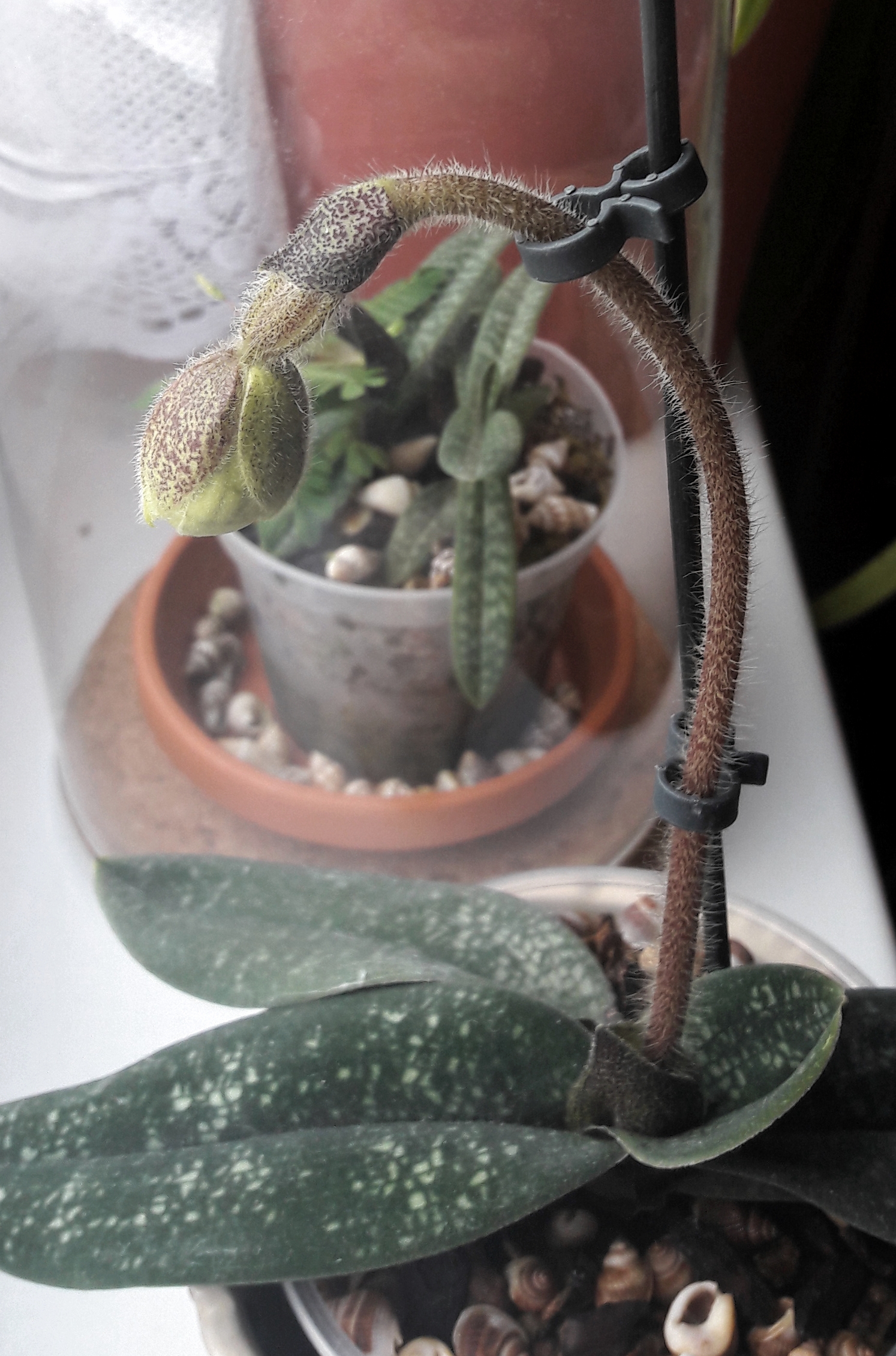 20190904_144926.jpg