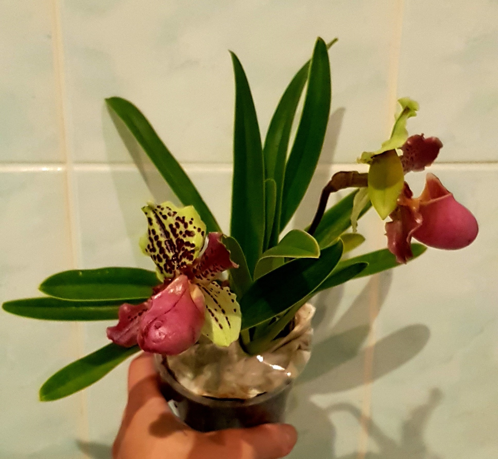 20190912_192143.jpg