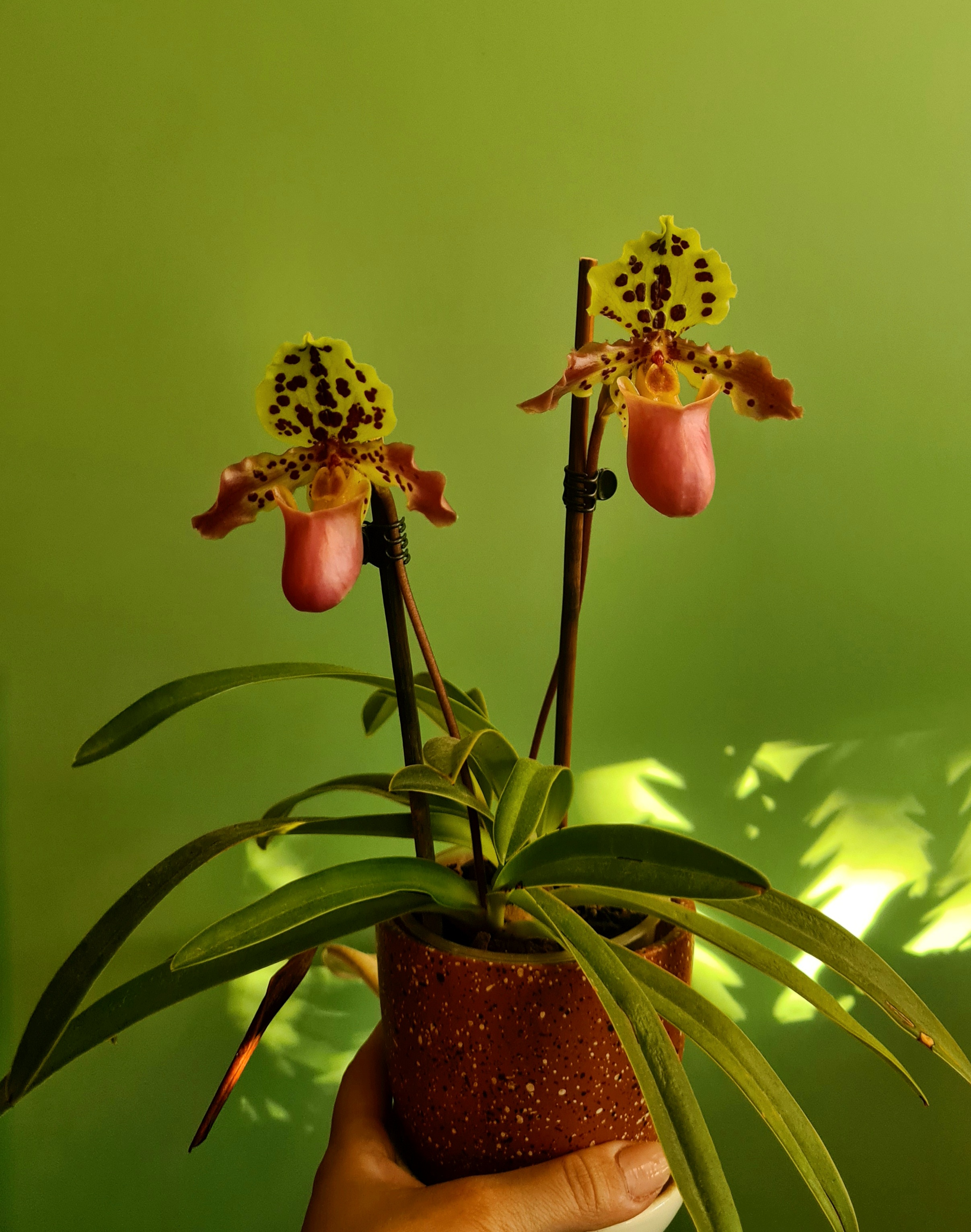 20201006_180227.jpg
