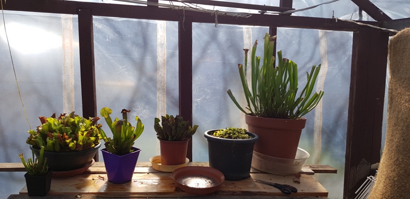 (2)20190330_140728.jpg