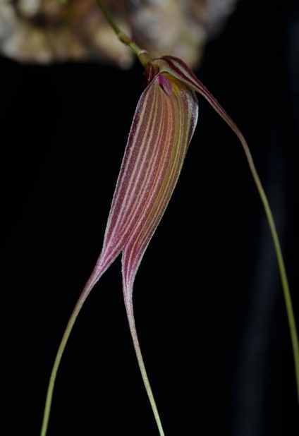20201103_113353.jpg