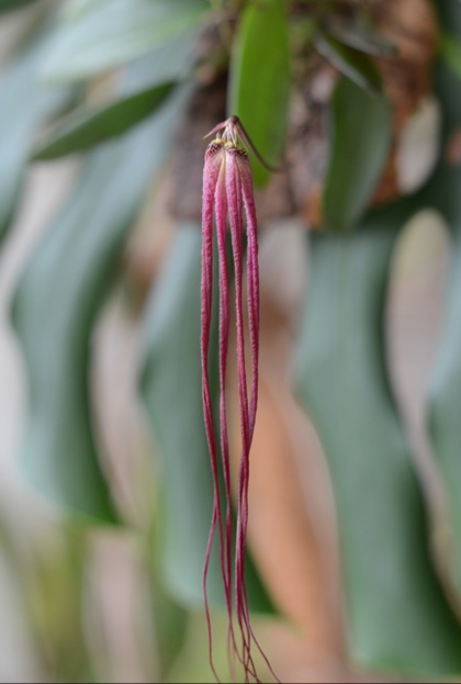 20201103_144436.jpg