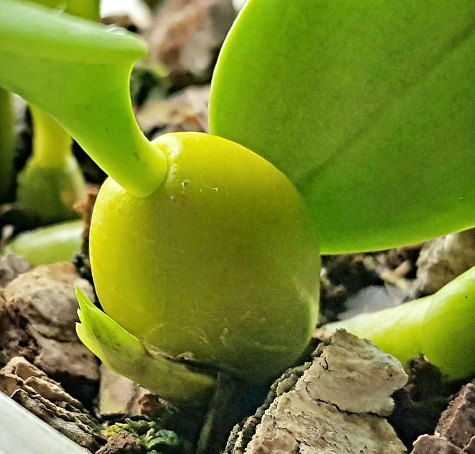 20191012_155602.jpg