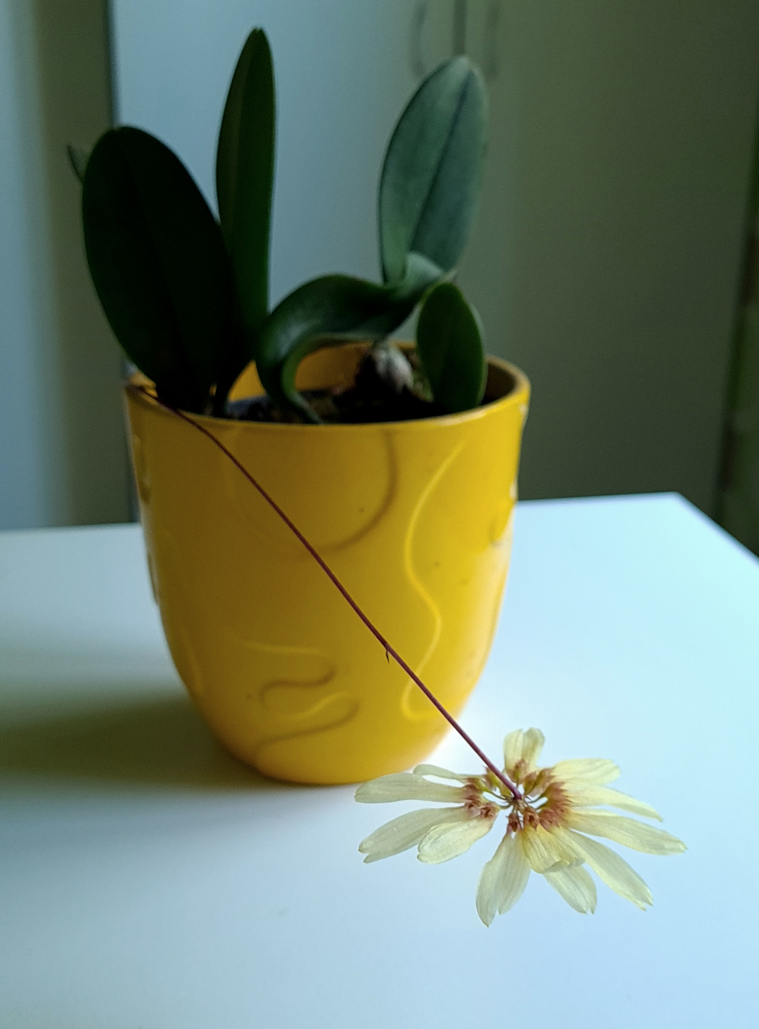 20200817_154725.jpg