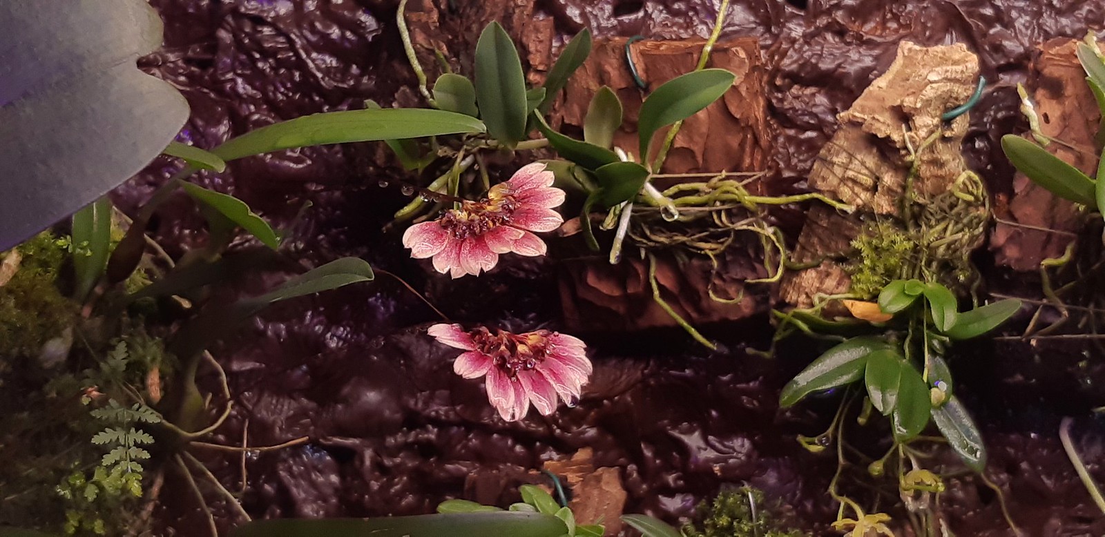2019-10-14_05-06-23.jpg