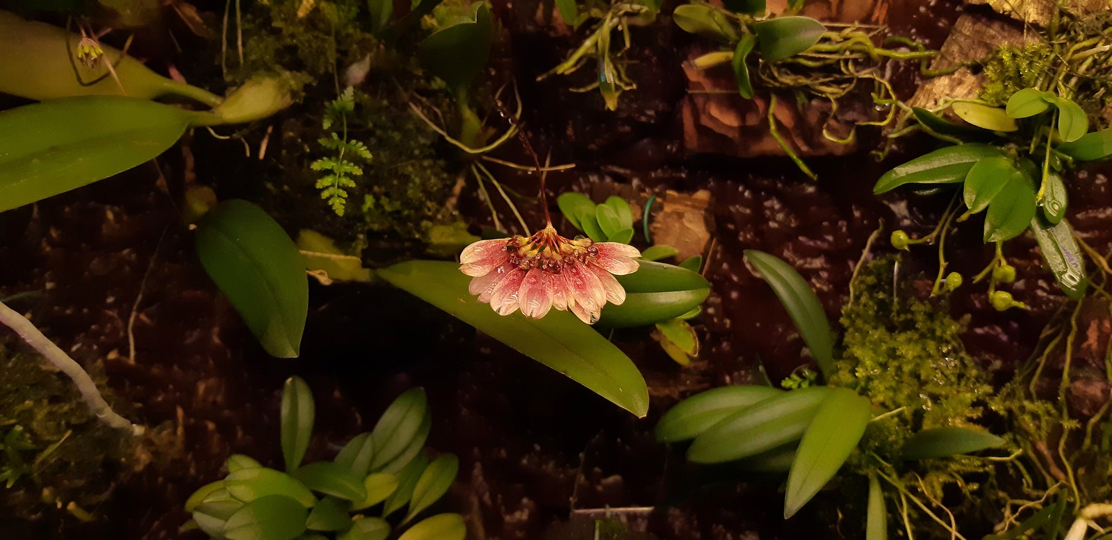 2019-09-24_05-16-49.jpg