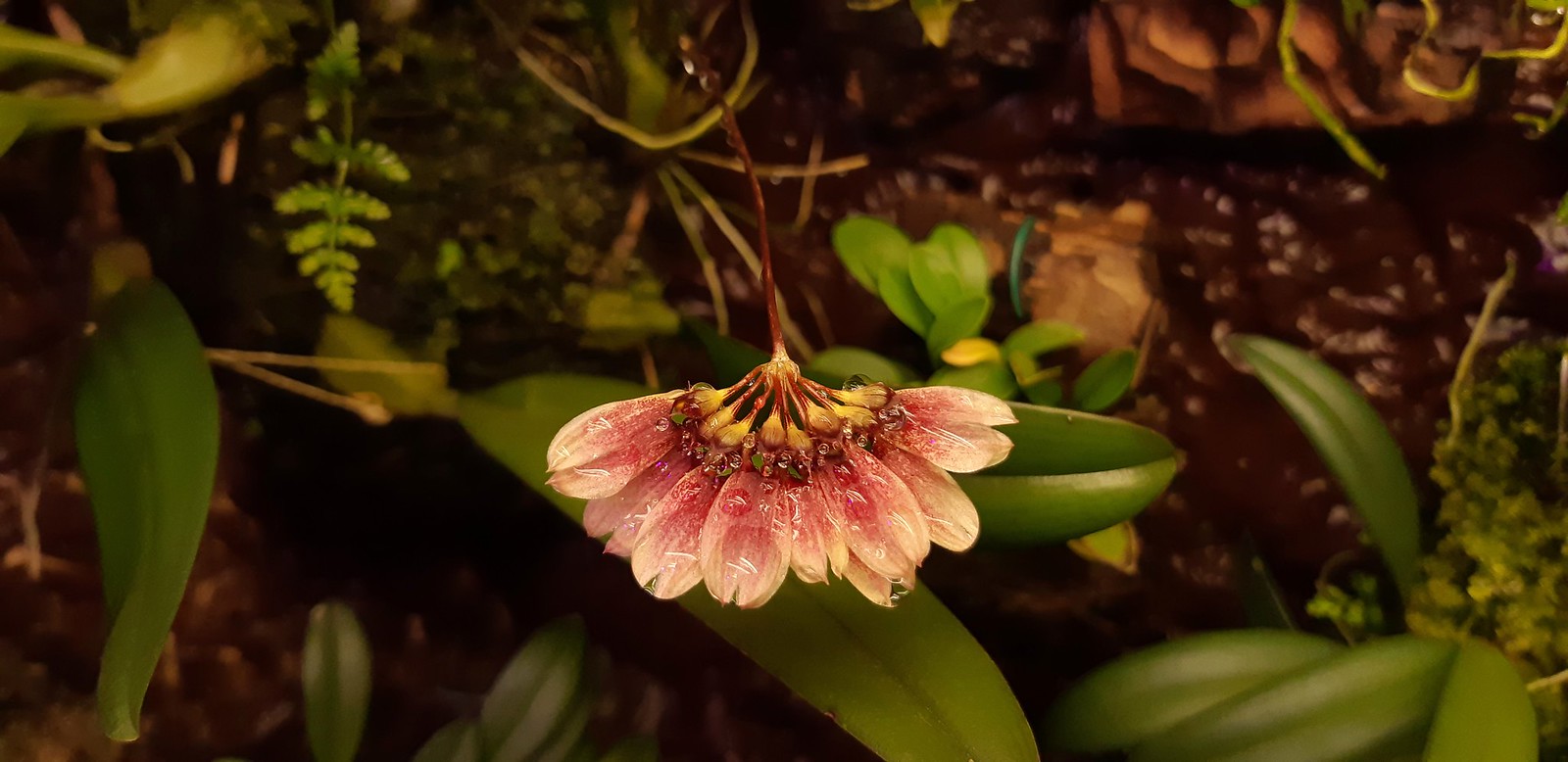 2019-09-24_05-16-39.jpg
