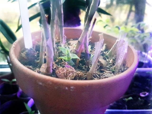 20190314_182039.jpeg