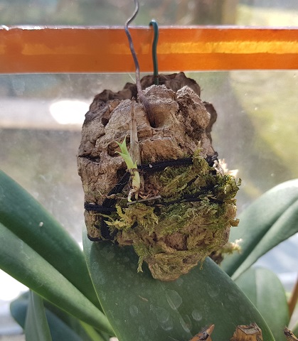 20190413_161223.jpg